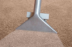 carpet cleaning services